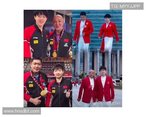 上海乒乓球队的拼搏之路与欧锦赛荣耀背后的故事